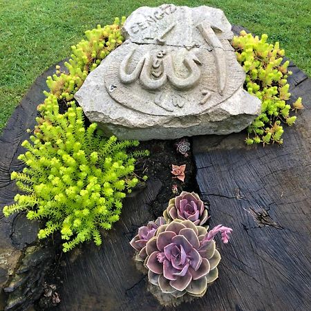 Happyhobbit Forest, Lake View, Fireplace , Jakuzi ,In Sapanca Exterior photo