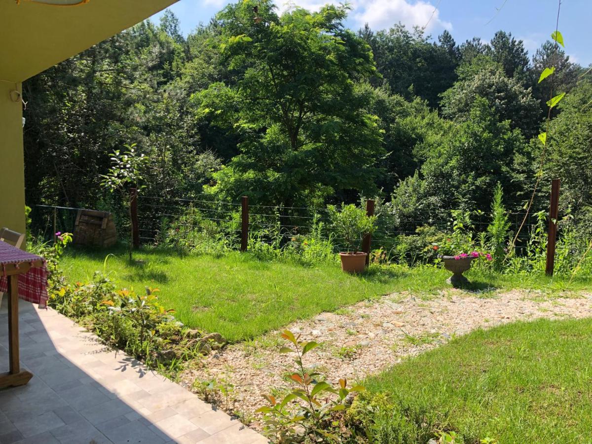 Happyhobbit Forest, Lake View, Fireplace , Jakuzi ,In Sapanca Exterior photo